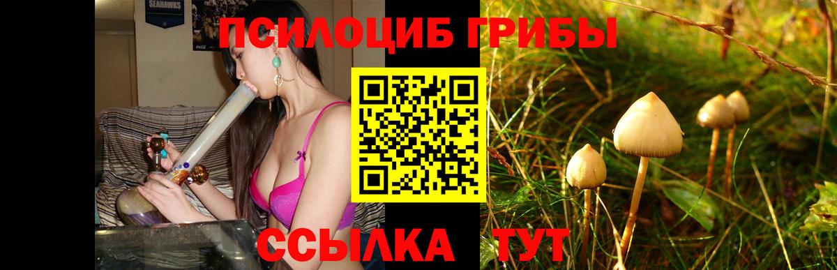 Псилоцибиновые грибы прущие грибы  Вход с VPN  цена   Кулебаки 